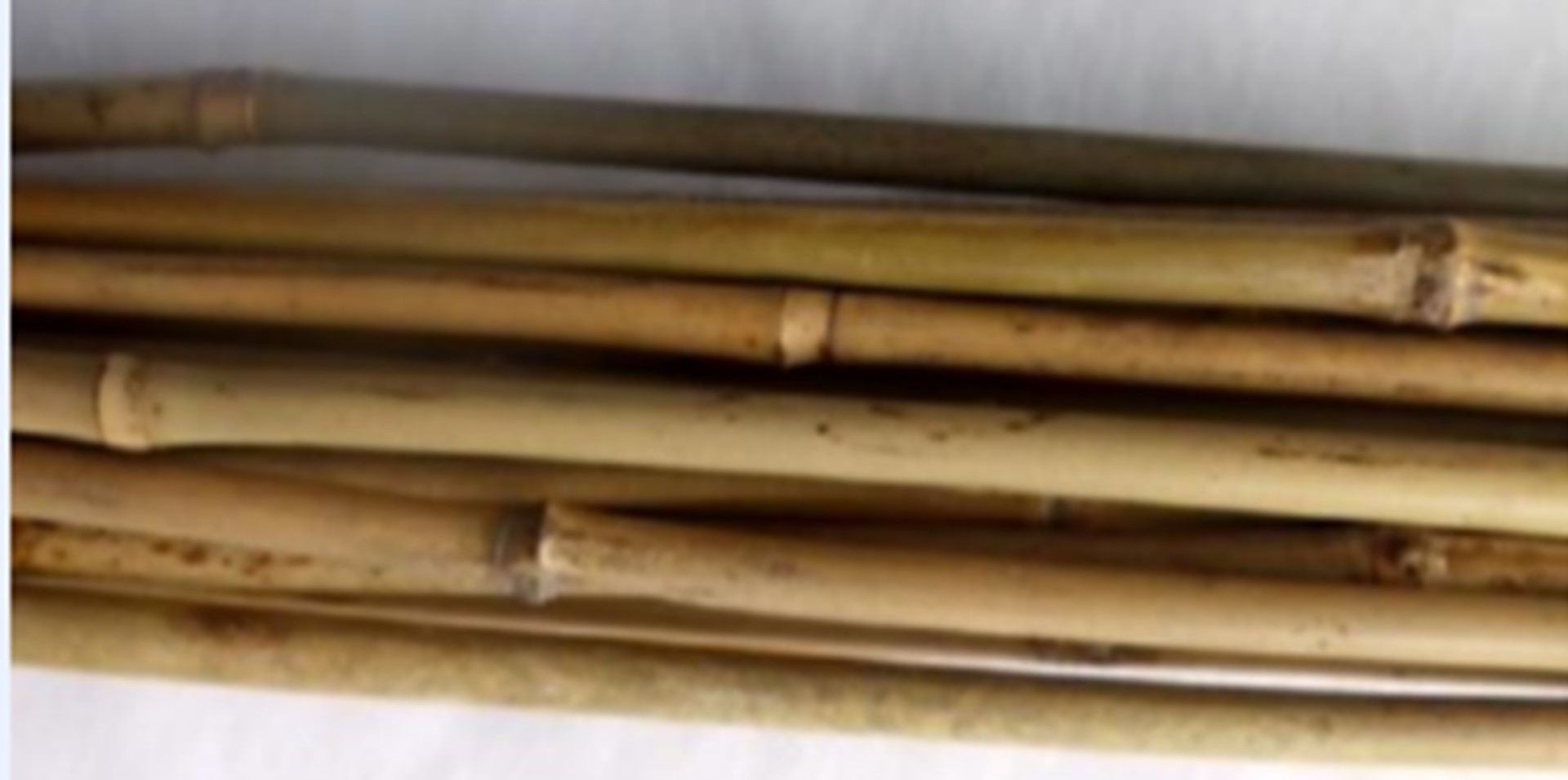 Bamboestok 3 stuks van l60 cm x b8-10 mm