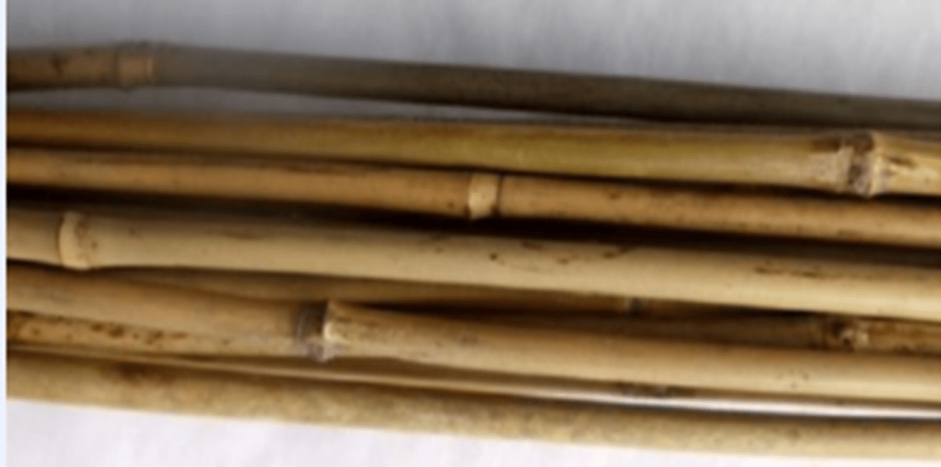 Bamboestok 3 stuks van l180 cm x b8-10 mm