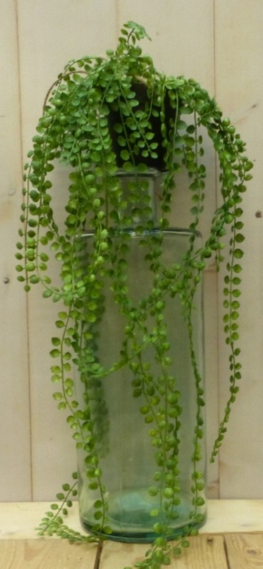 Kunsthangplantje groen met kleine bladeren in hangpotje 40 cm