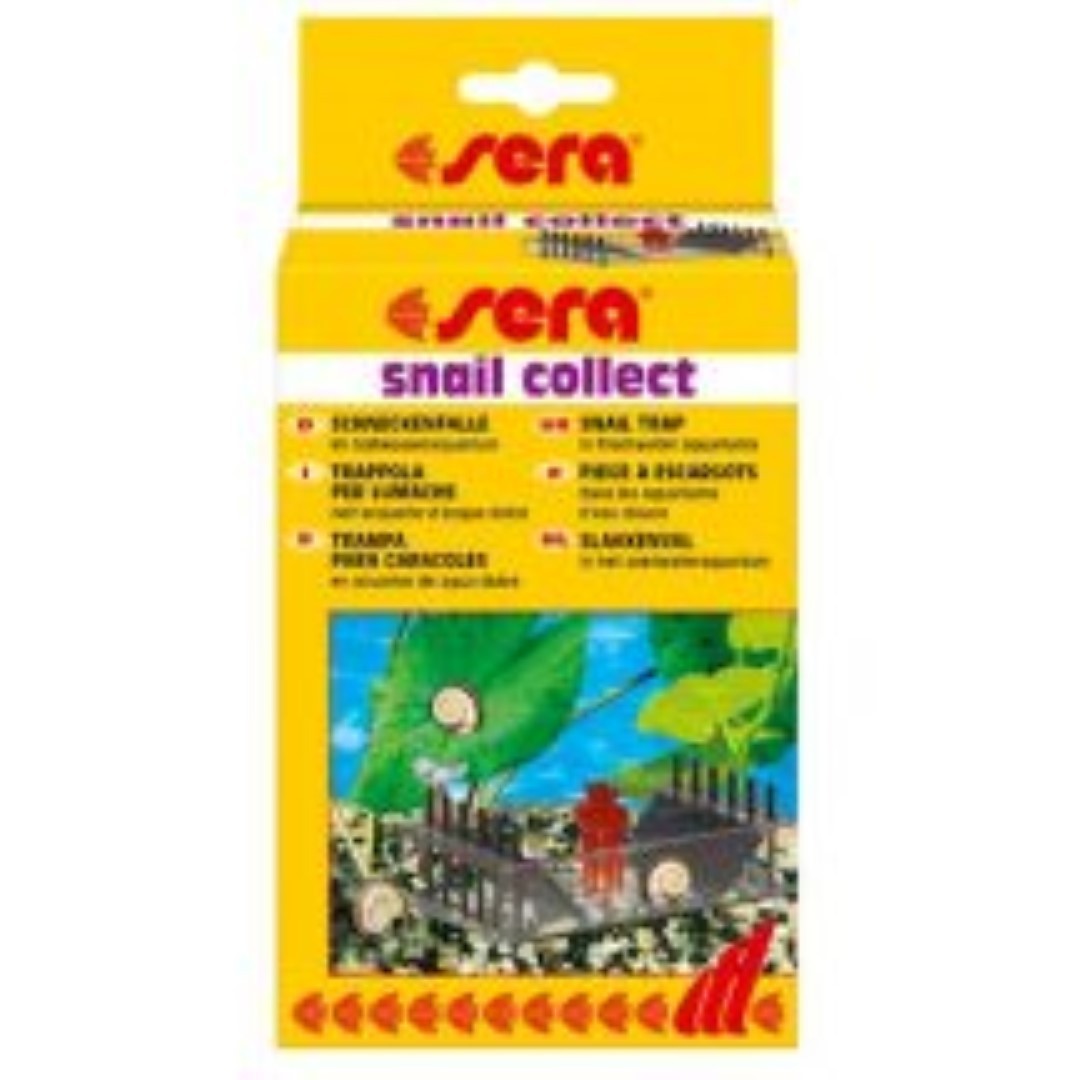 Snail collect