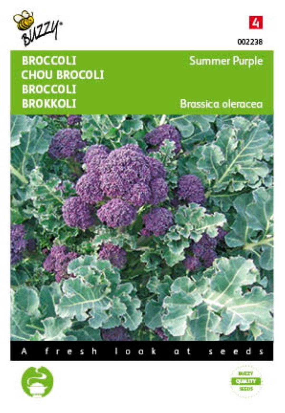 https://www.warentuin.nl/media/catalog/product/1/7/1778711117022381_buzzy_seeds_tuinzaden_buzzy_broccoli_summer_purple_df17.jpeg