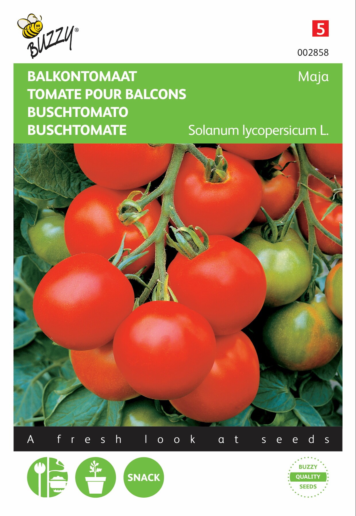 Tomaten Maja Balkontomaat