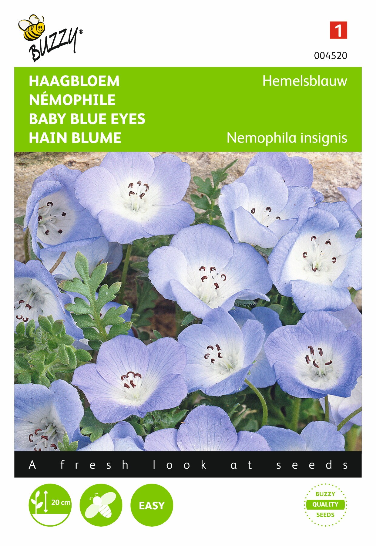 Nemophila Insignis Hemelsblauw