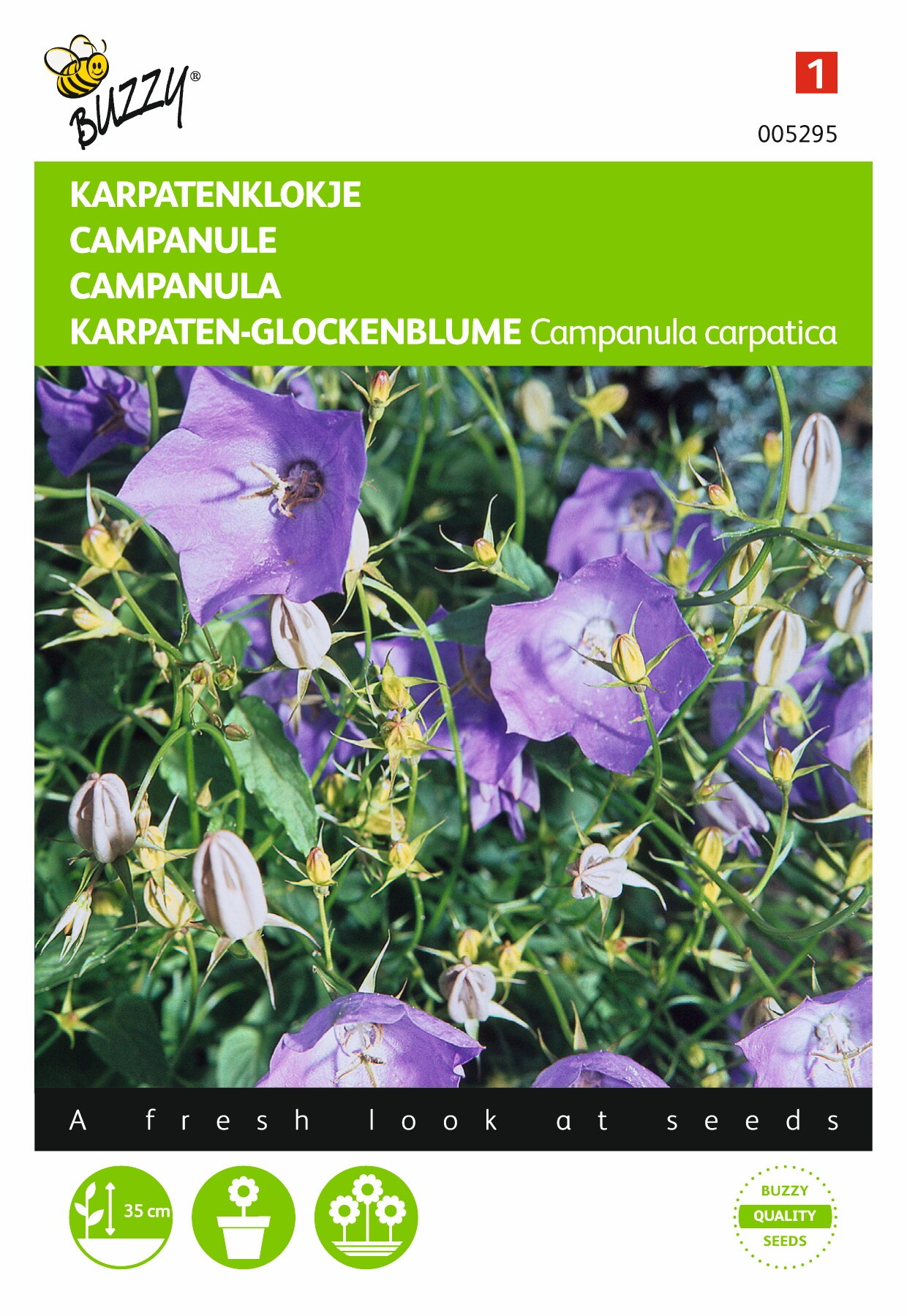 Campanula carpatica blauw