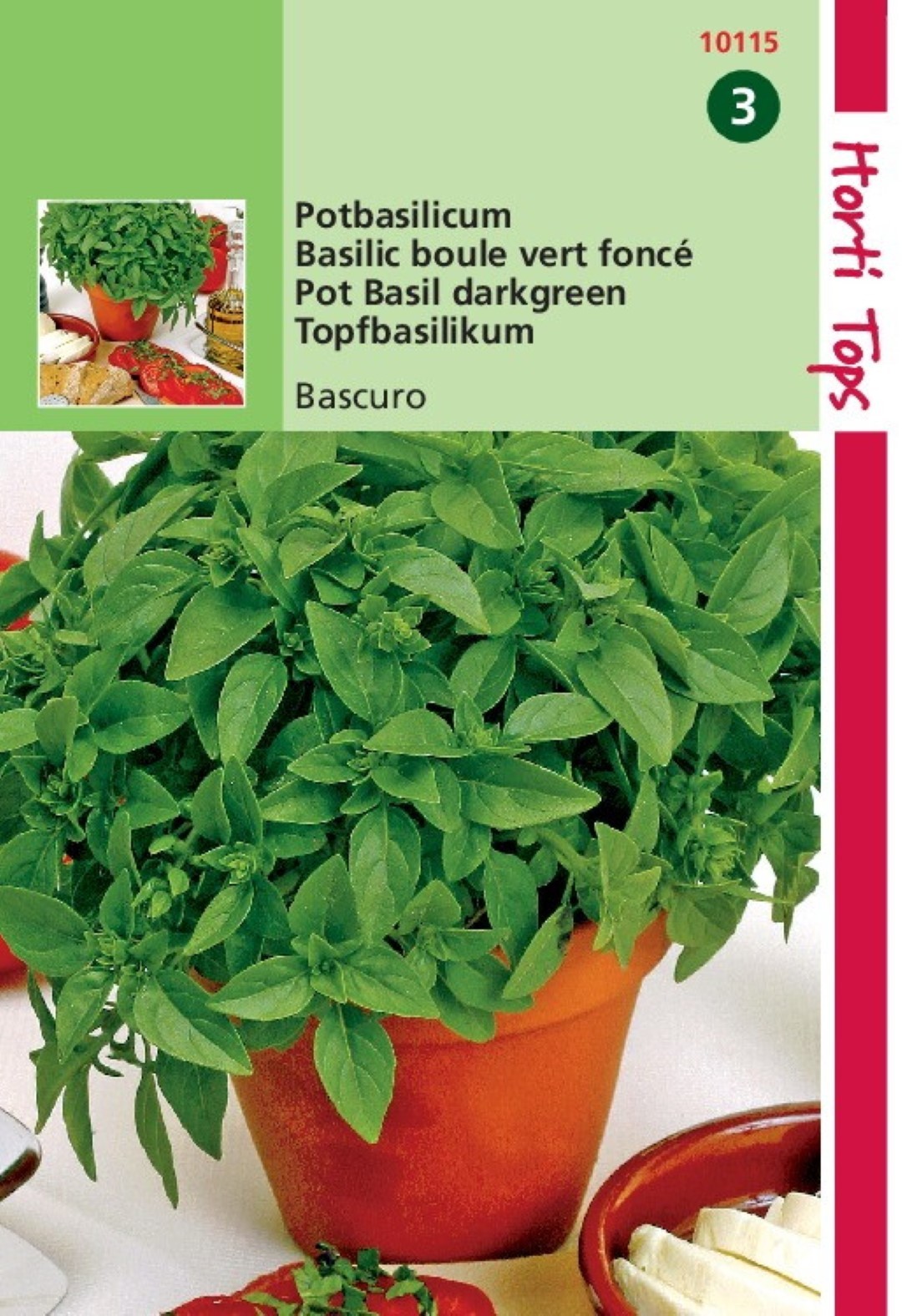 Pot Basilicum Bascuro Donkergroene - Hortitops