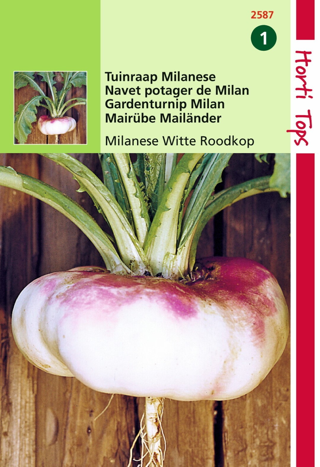 Hortitops Zaden - Rapen Milanese (Platte) Witte Roodkop