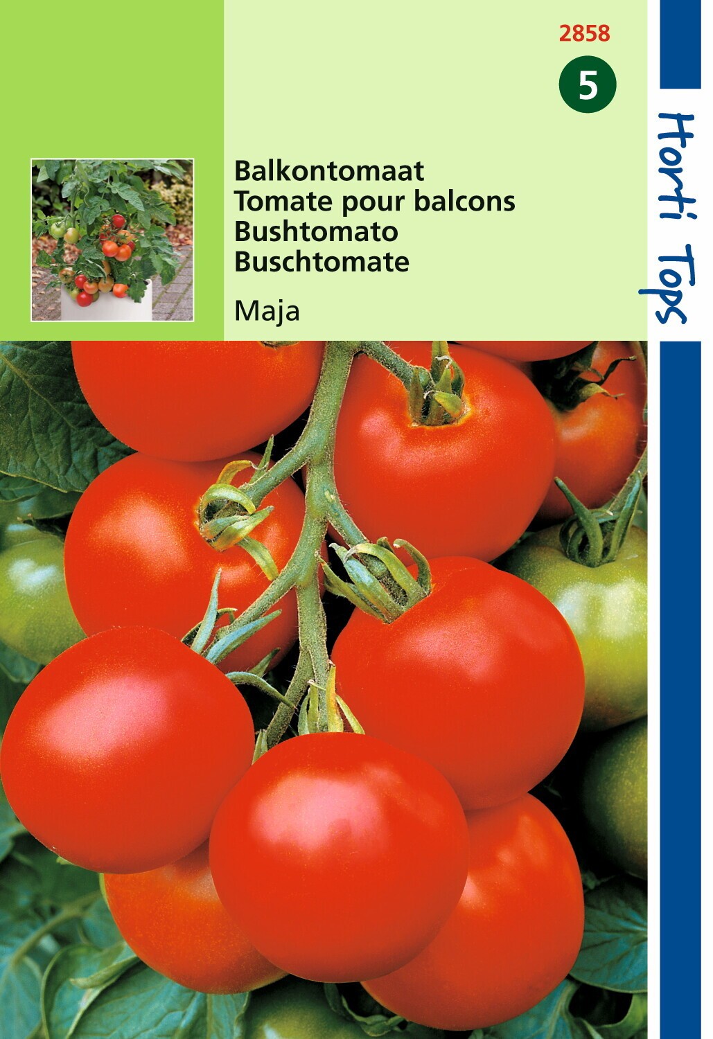 Hortitops zaden - Tomaten Maja -Balkontomaat Amateur Variety