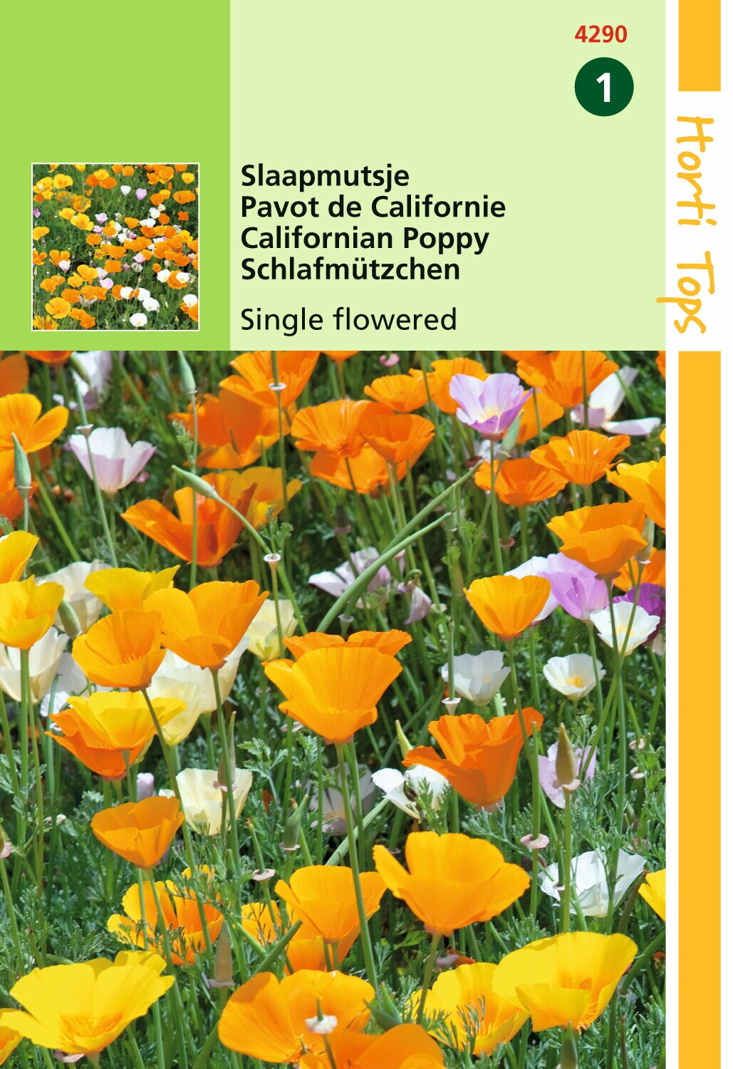 Eschscholtzia Californica Enkelbl. Gemengd