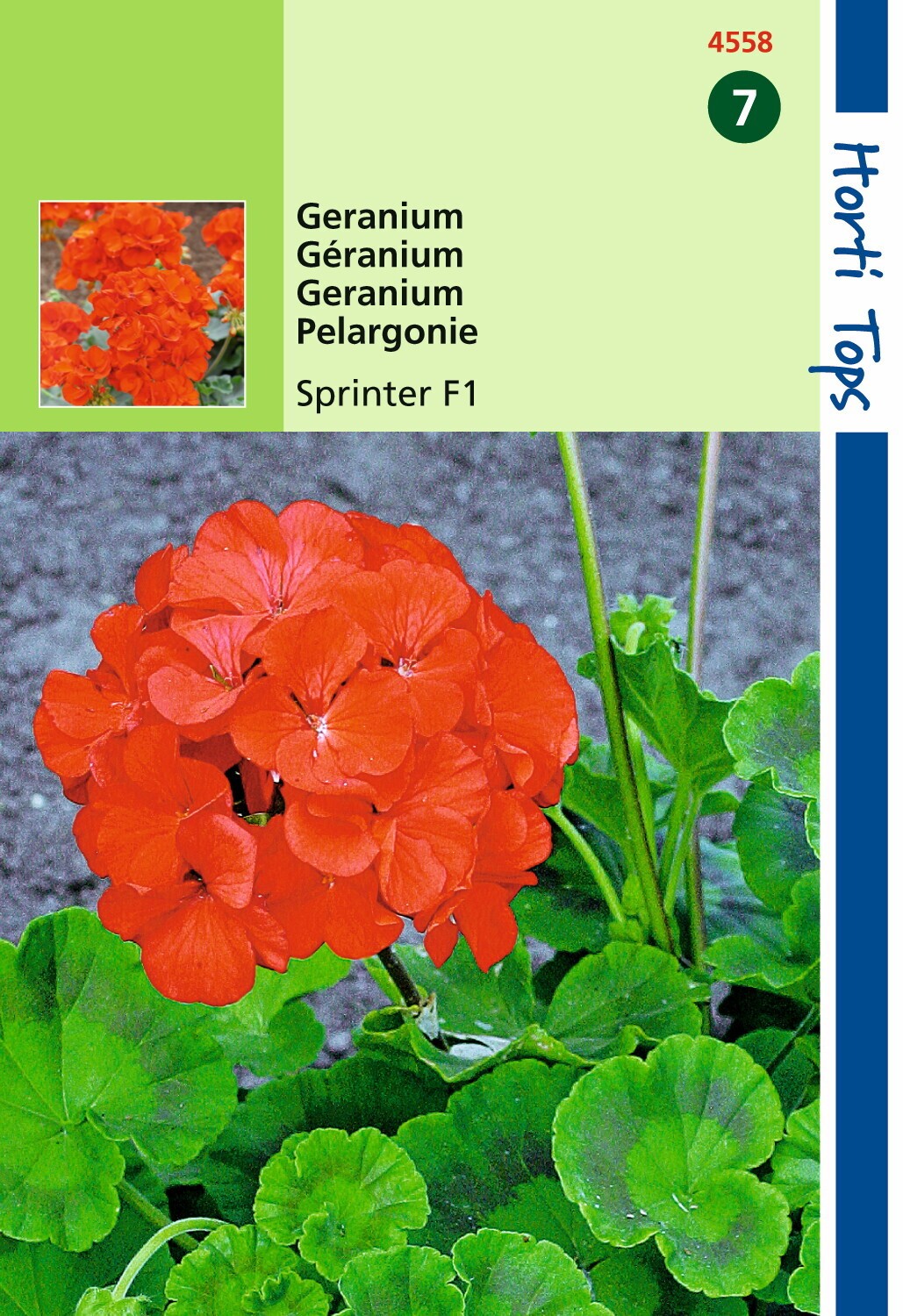 Hortitops zaden - Geranium Bloemzaad - Sprinter - Oranje/Rood