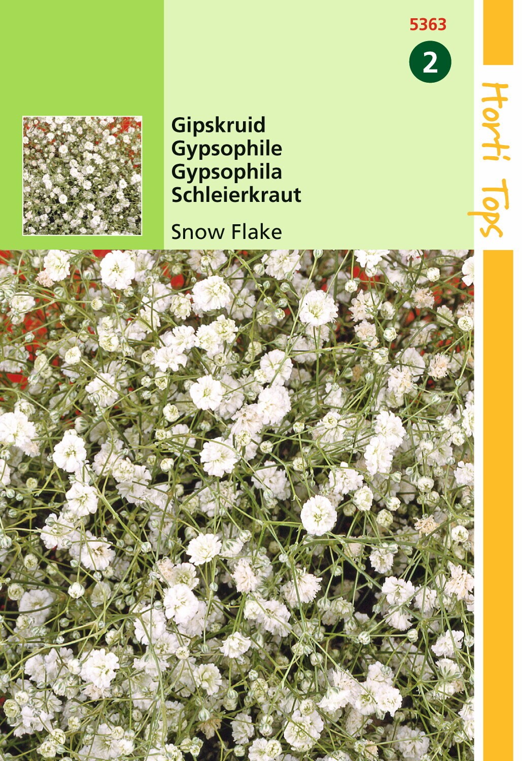Hortitops Zaden - Gypsophila Paniculata Snow Flake Dubbel. Wit