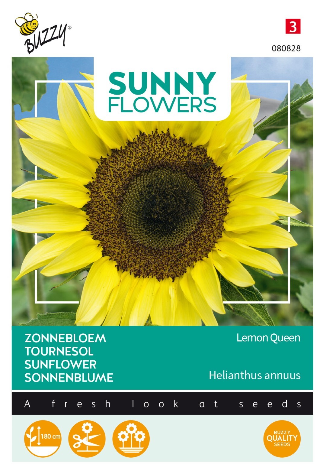 Sunny Flowers, Zonnebloem Lemon Queen