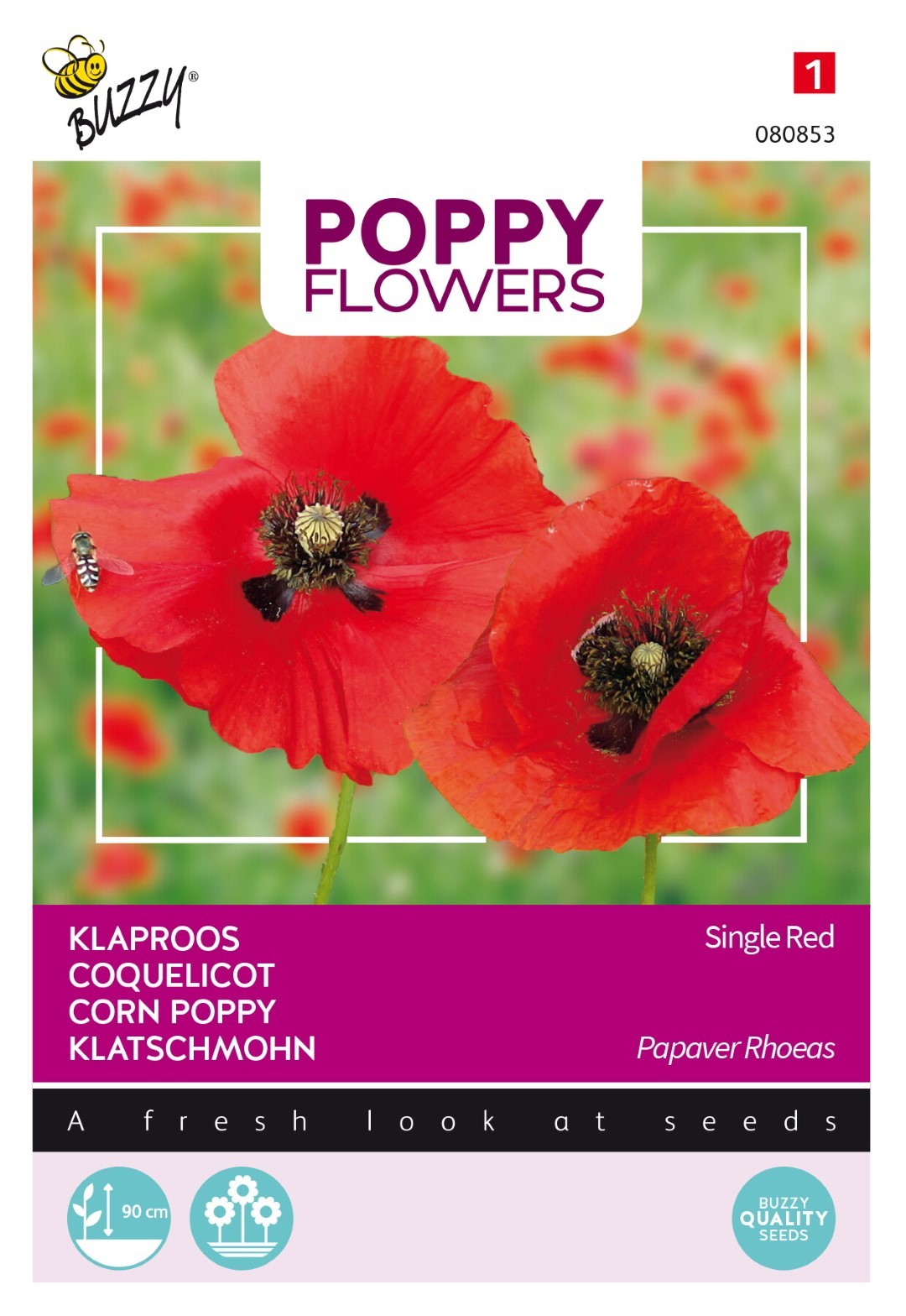 Buzzy® Poppies of the world - Klaproos Rhoeas Rood