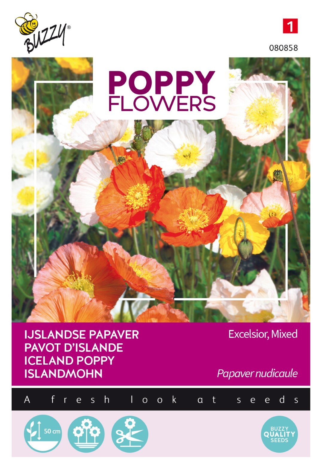Poppies Of The World IJslandse Papaver Bloemzaad