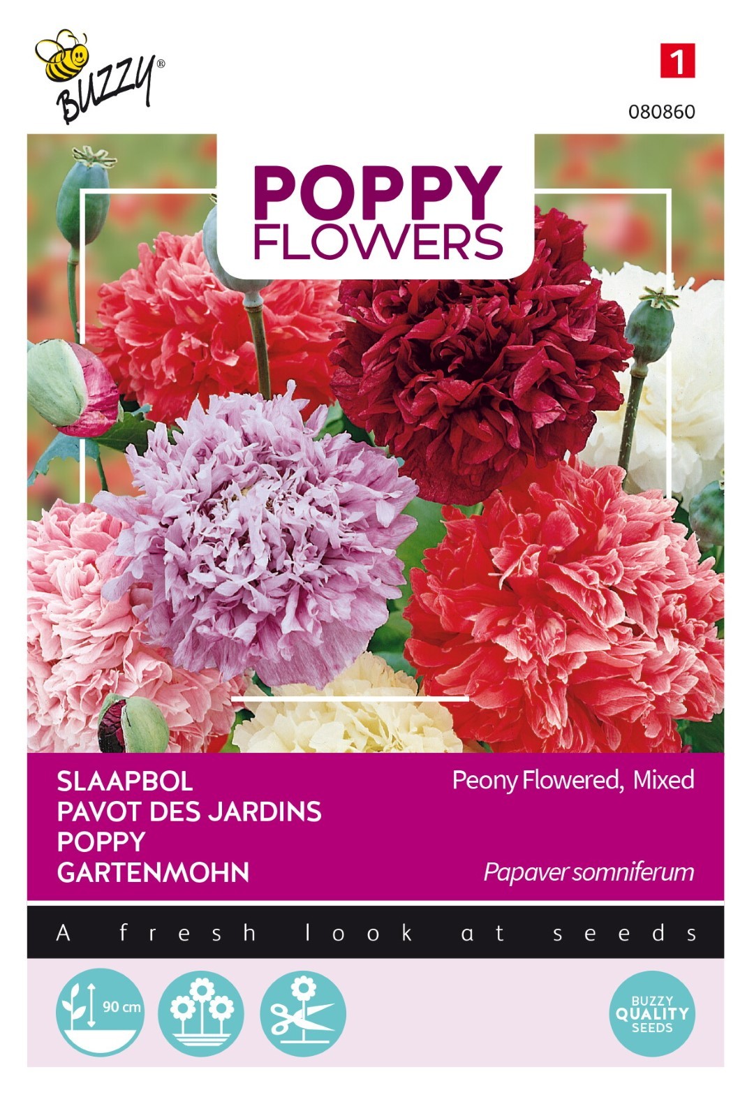 Buzzy® Poppies of the world - Papaver Pioenbloemig