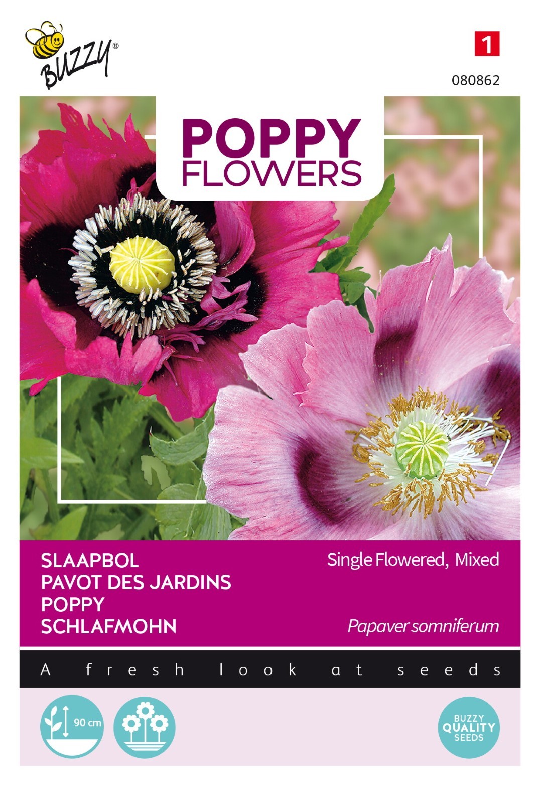 Poppies of the world papaver slaapbol