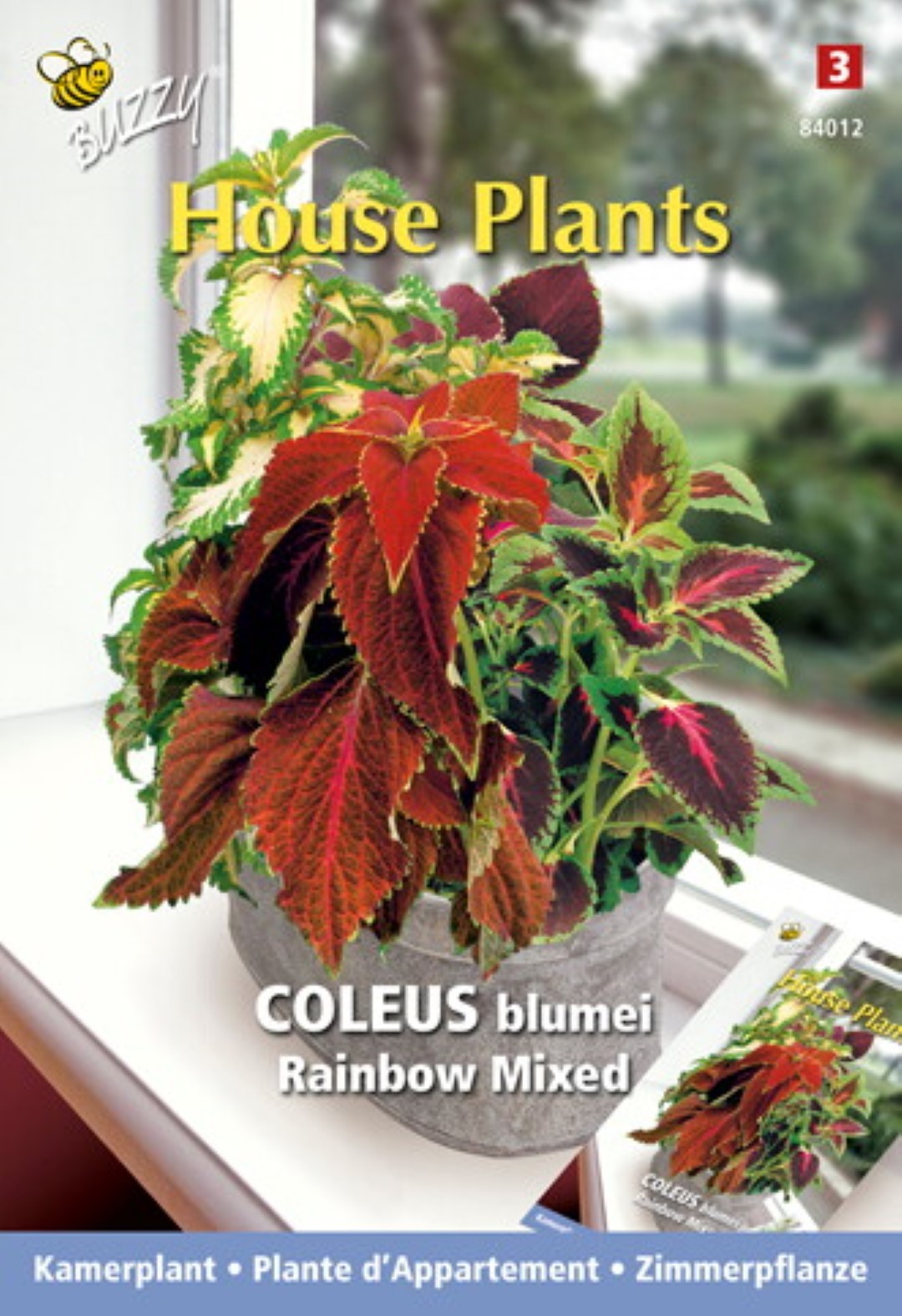 Buzzy® House Plants Coleus, Siernetel Rainbow mix