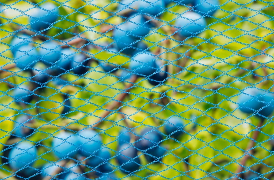 Tuinnet nano blauw maaswijdte 8x8mm 22 g/m2 5x2m