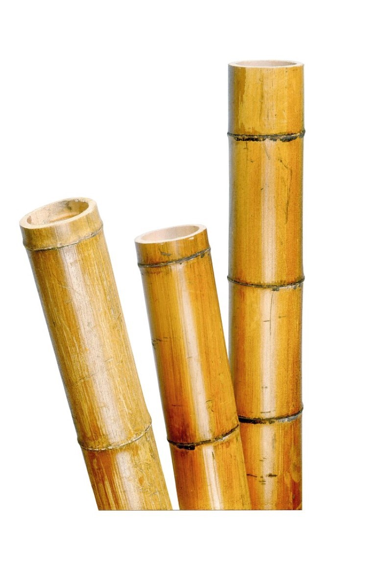 Decora bamboel H270cm dia. ca.65/95mm