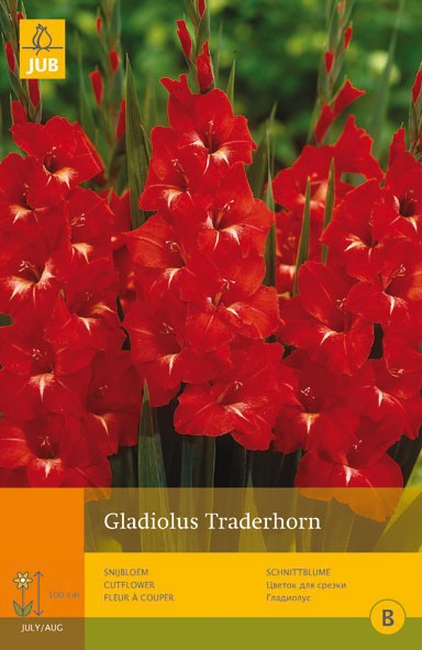 https://www.warentuin.nl/media/catalog/product/1/7/1778712438617355_jub_gladiolus_traderhorn_10st_bloembol_zomer_jub_7d14.jpg