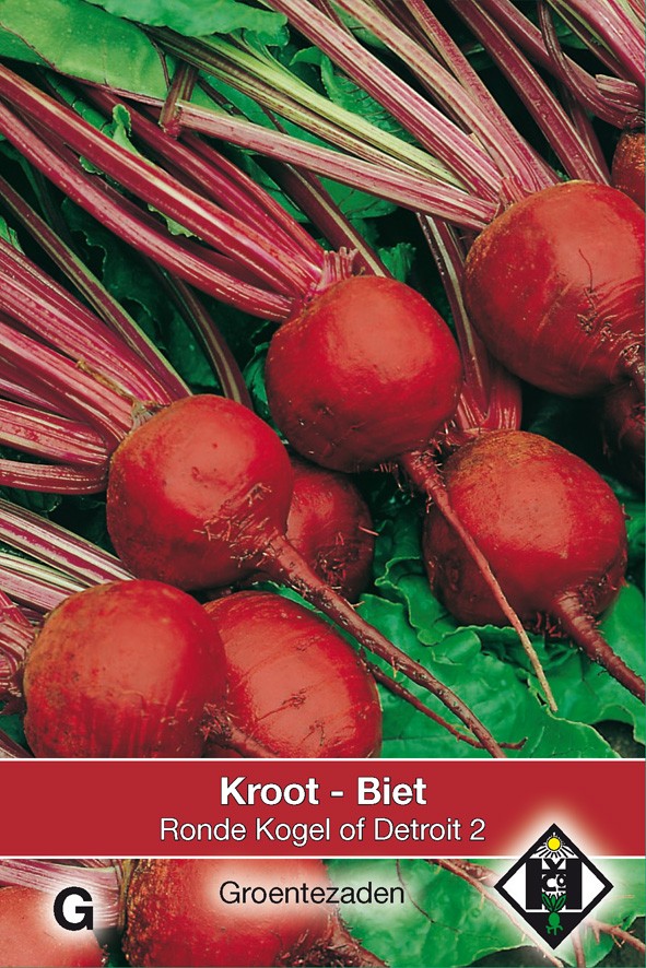 Biet Kroot Kogel of Detroit 2, 20 gr.