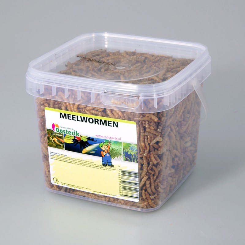 Meelwormen 1.2 liter