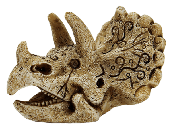 https://www.warentuin.nl/media/catalog/product/1/7/1778715897291128_superfish_aquarium_accessoire_superfish_skull_triceratops_s_ce13.png