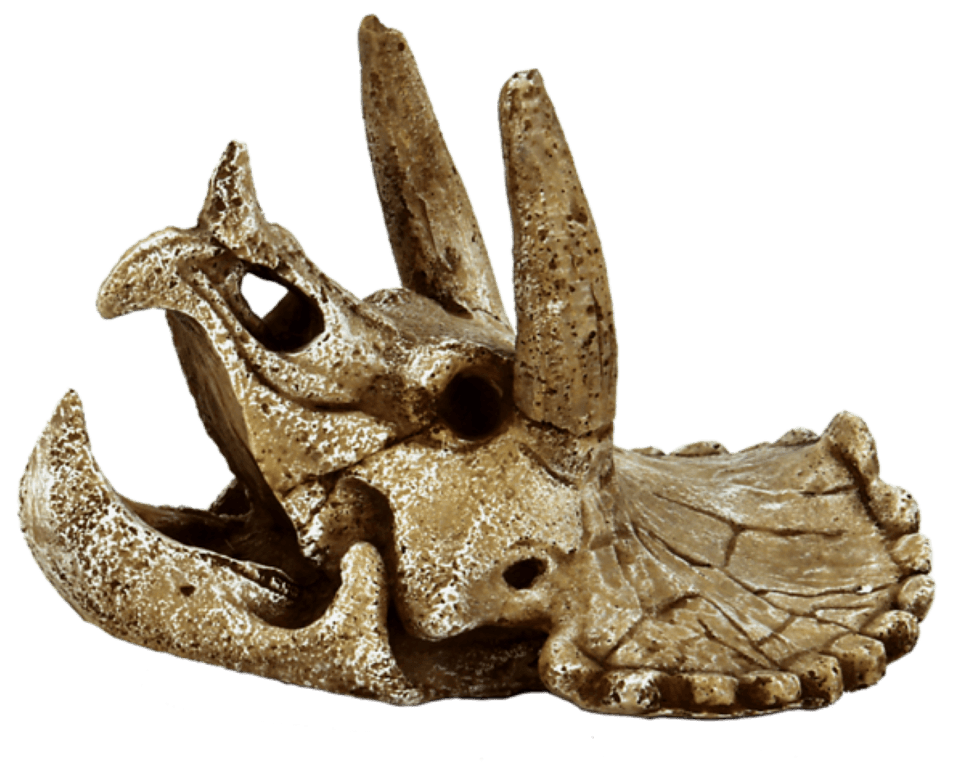 https://www.warentuin.nl/media/catalog/product/1/7/1778715897291159_superfish_aquarium_accessoire_superfish_skull_triceratops_m_85eb.png
