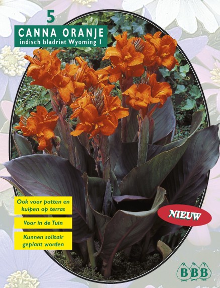 https://www.warentuin.nl/media/catalog/product/1/7/1778717154008517_baltus_bloembollen_canna_bruinblad_oranje_per_3_6d50.jpg