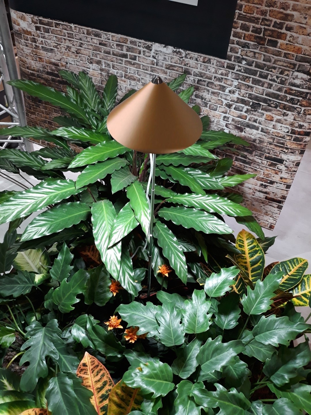 Parus iSun paraplu kweeklamp 7w koper Parus iSun paraplu kweeklamp 7w koper
