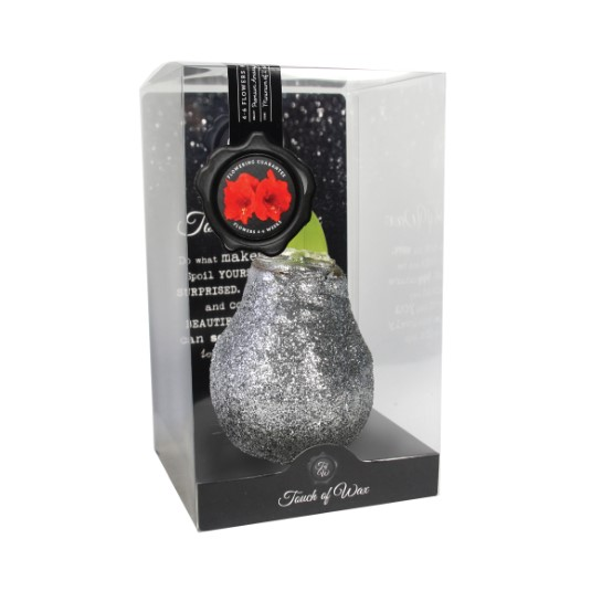 Bloembol Rode Amaryllis Wax kaarsvet Glitter Zilver cadeauverpakking 'Plastic' Kebol - Warentuin Natuurlijk