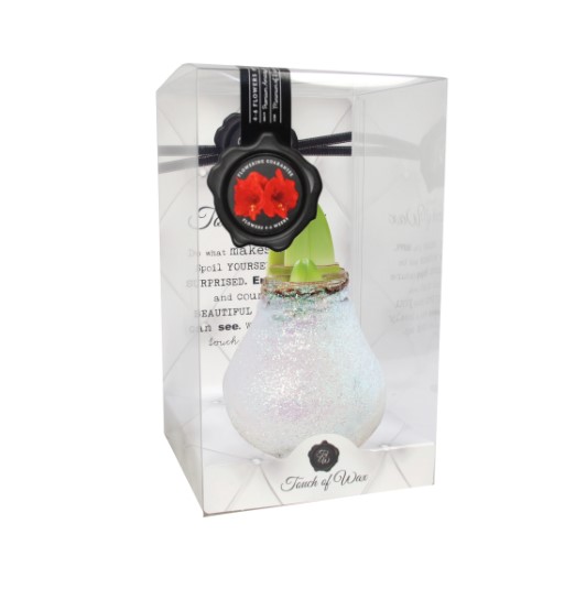 Bloembol Rode Amaryllis Wax kaarsvet Kristal Wit cadeauverpakking 'Zwart Karton' Kebol - Warentuin Natuurlijk