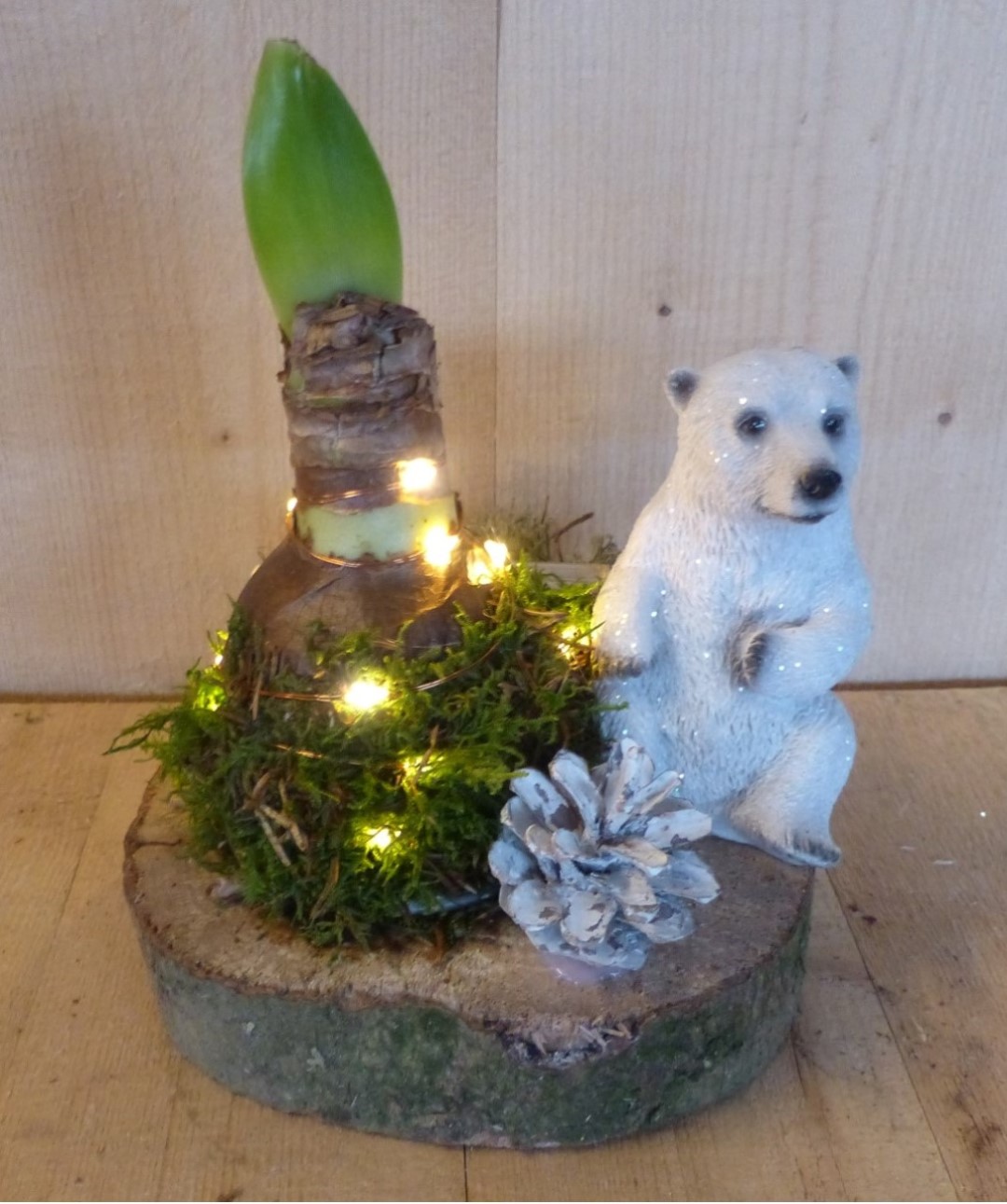 Kerststukje 'Belgorod' Amaryllis met ijsbeer op houten schijf dia. 20 cm met kerstlampjes - Warentuin Natuurlijk