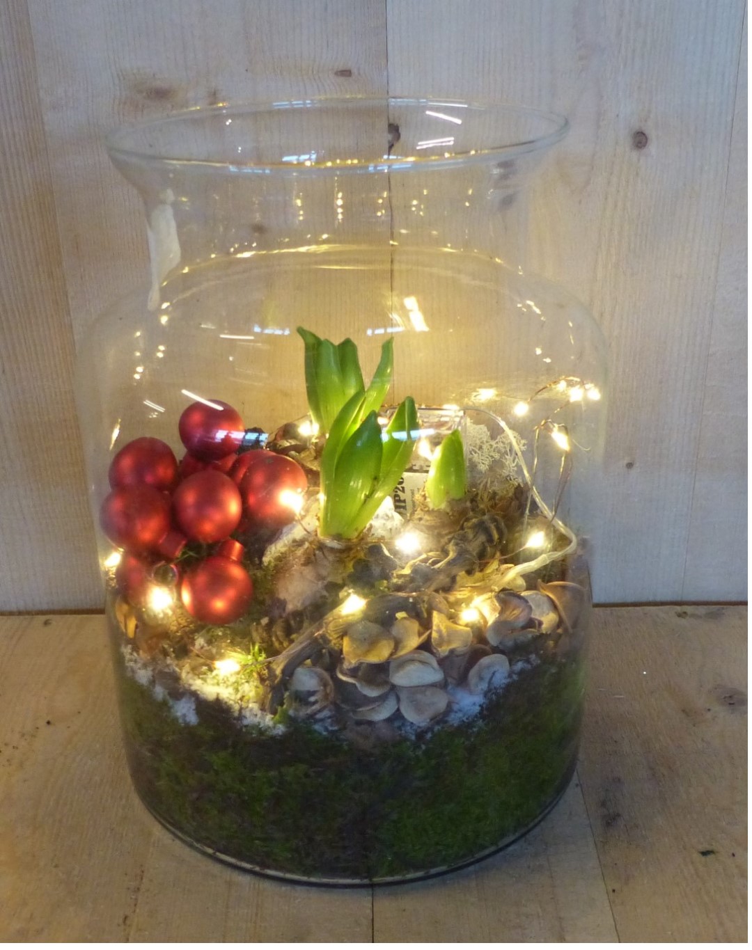 Kerststukje 'Tver' melkfles glas 30 cm hoog hyacinten met lampjes en rode kerstballetjes - Warentuin Natuurlijk