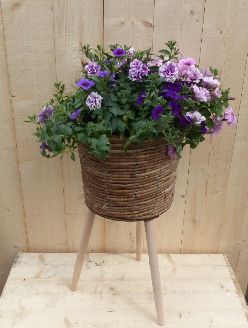 Rieten plantenbak bruin op poten met zomerbloeiers paars/roze h65 cm
