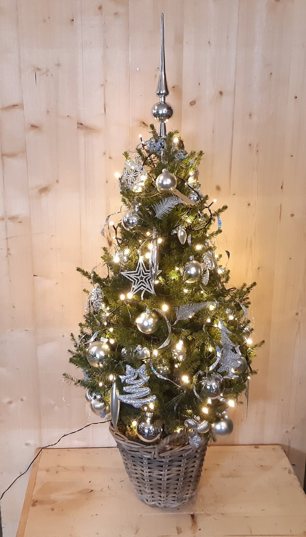 Echte kerstboom in mand met verlichting zilver h130 - Warentuin Natuurlijk