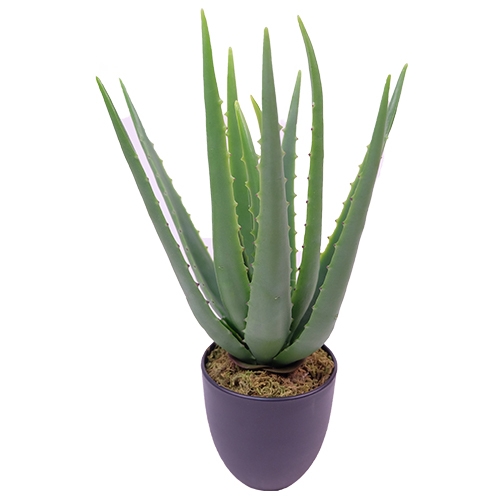 Aloe in pot 38 cm kunstplant Buitengewoon de Boet