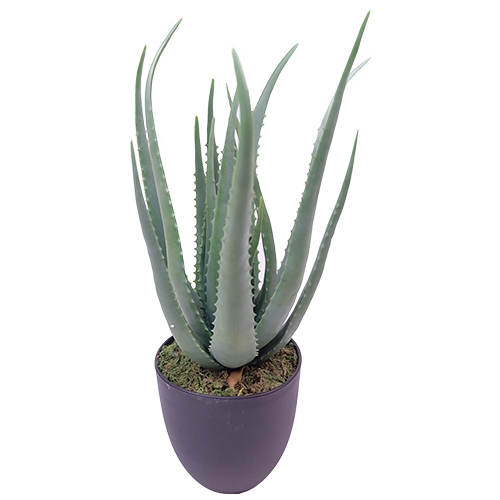 Aloe vera in pot 38 cm kunstplant Buitengewoon de Boet