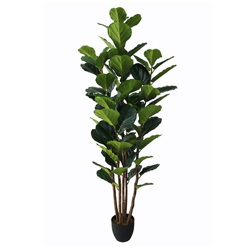 Ficus Lyrata 180 cm kunstplant Buitengewoon de Boet