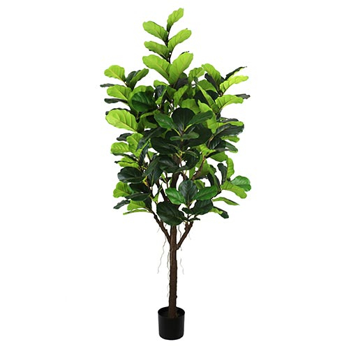 Ficus Lyrata 210 cm kunstplant Buitengewoon de Boet