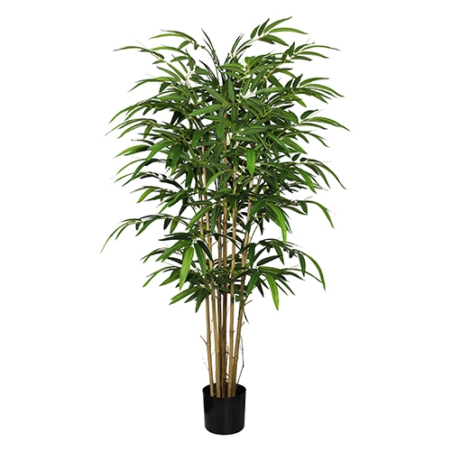 Bamboe groen 155 cm