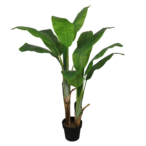 Bananenplant 140 cm - Buitengewoon de Boet