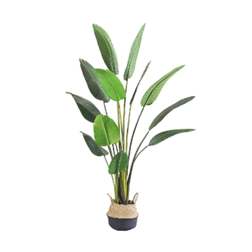 Kunstplant Blad Strelitzia Soft 120 cm - Buitengewoon de Boet