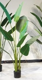 Kunstplant Blad Strelitzia Hard 220 cm - Buitengewoon de Boet