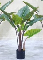 Kunstplant Alocasia 80 cm - Buitengewoon de Boet