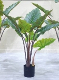 Kunstplant Alocasia 110 cm