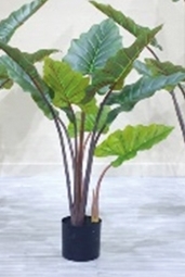 Kunstplant Alocasia 140 cm - Buitengewoon de Boet