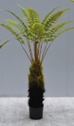 Kunstplant Boomvaren op stam 150 cm - Buitengewoon de Boet
