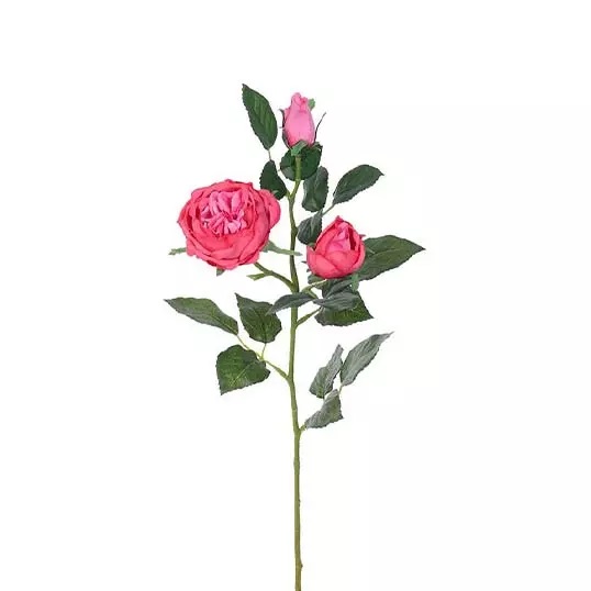 Engelse Roos Tak Beauty 64 cm kunstplant