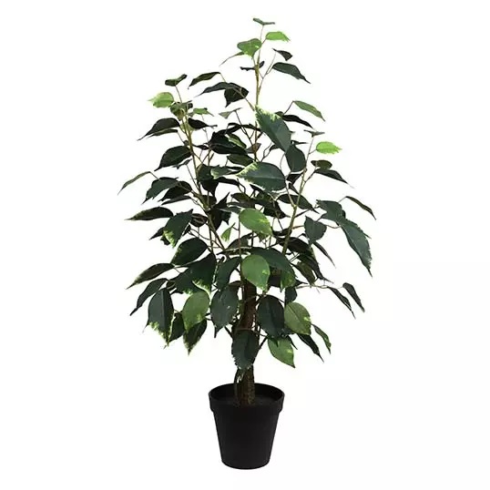 Ficus Bonsai Donkergroen 60 cm kunstplant