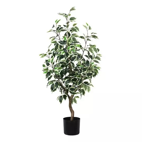 Ficus Bonsai Lichtgroen 60 cm kunstplant
